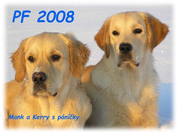 PF 2008