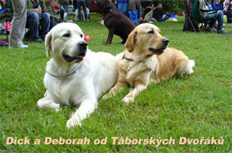 Dick a Deborah