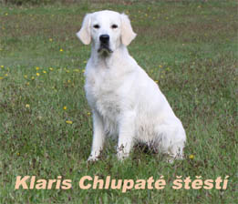 Klaris
