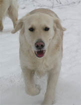 Silvestr 2007
