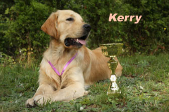 Kerry