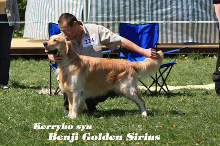 Benjo Golden sirius