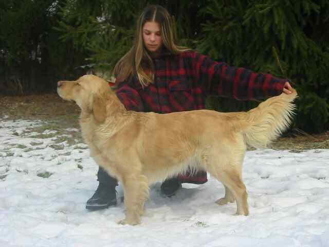 Madelaine